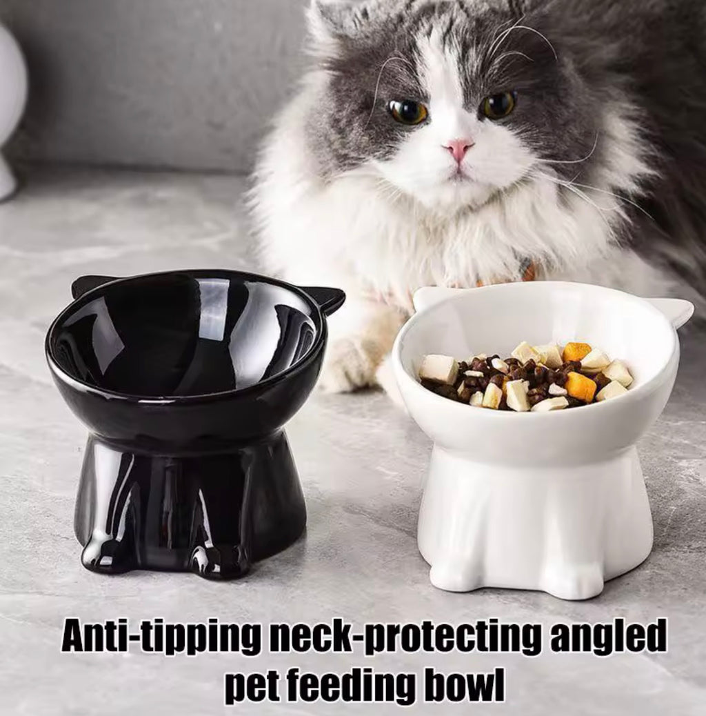 Elevated Slanted Anti Tip Cat Bowl.