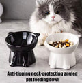 Elevated Slanted Anti Tip Cat Bowl.