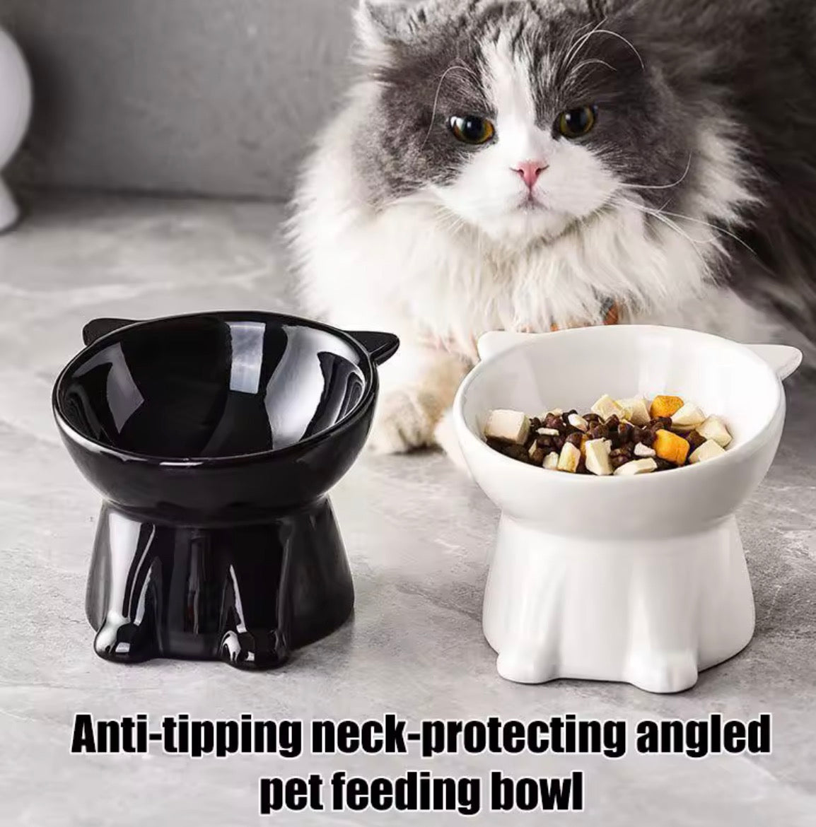 Elevated Slanted Anti Tip Cat Bowl.