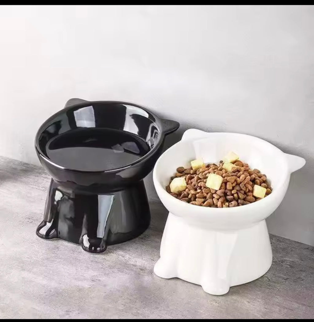Elevated Slanted Anti Tip Cat Bowl.